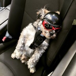 Meet your Posher, Ryan